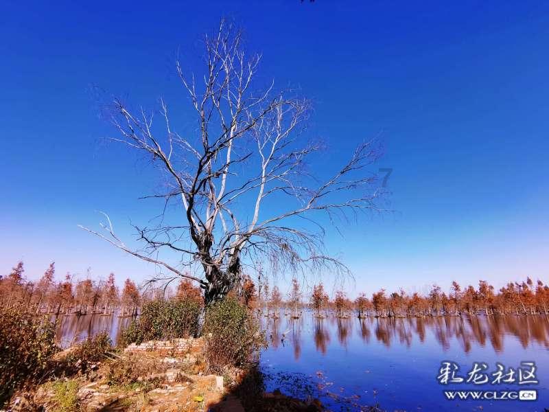轩辕剑4外传：苍之涛